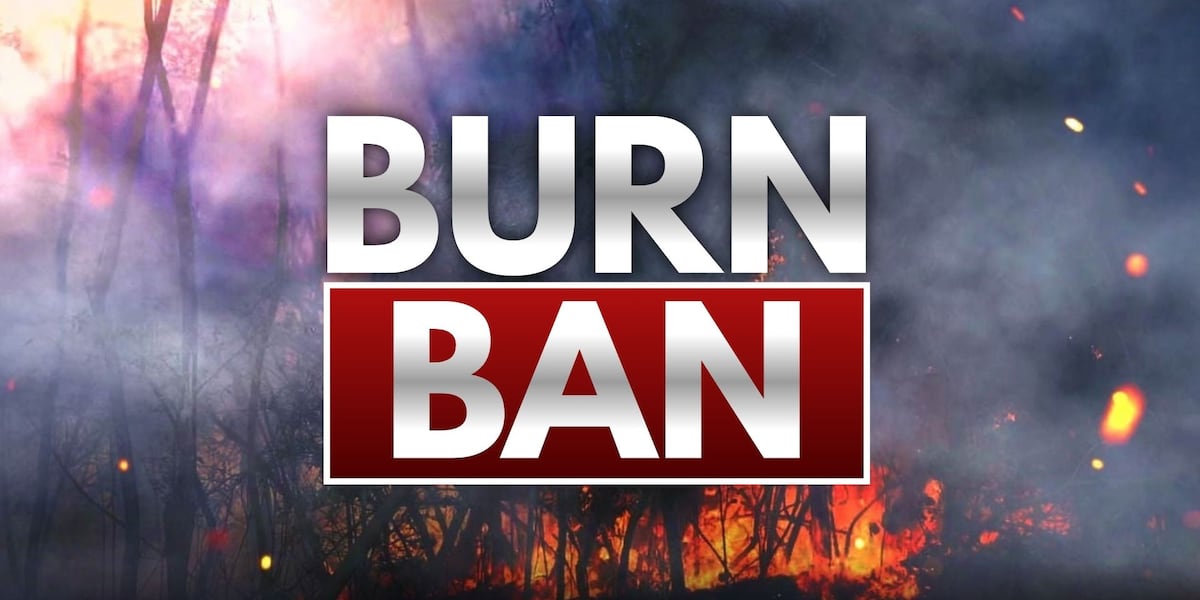 Reply Burnt Burn bans spread across North Central Florida amid brush fire response