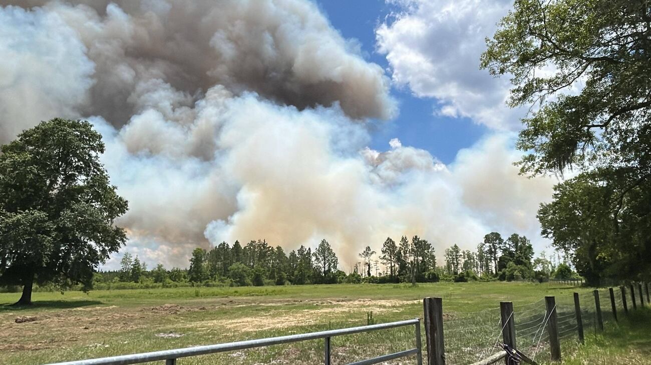 Count Fire April Wildfire in northeast Alachua County now 90% contained