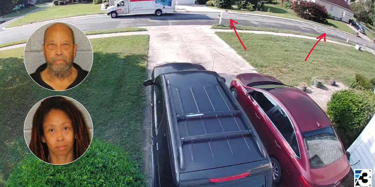 2 face dozens of charges after dog pack attacks woman and neighbors, authorities say