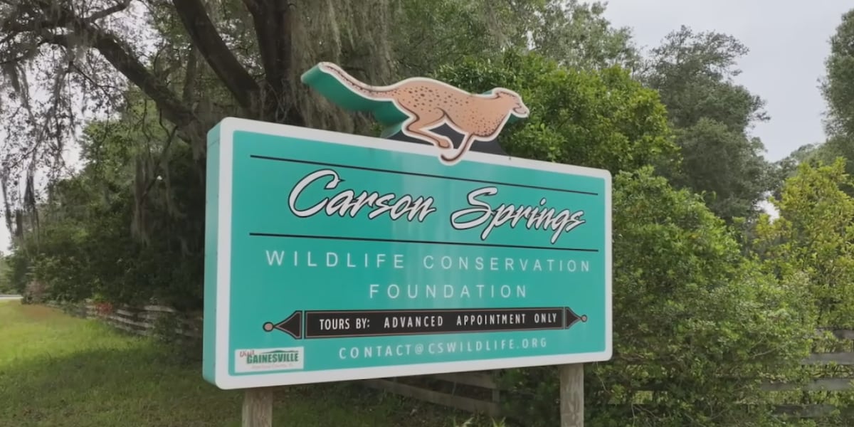 Carson Springs Recap with some of our favorite friends we’ve met at Carson Springs ...
