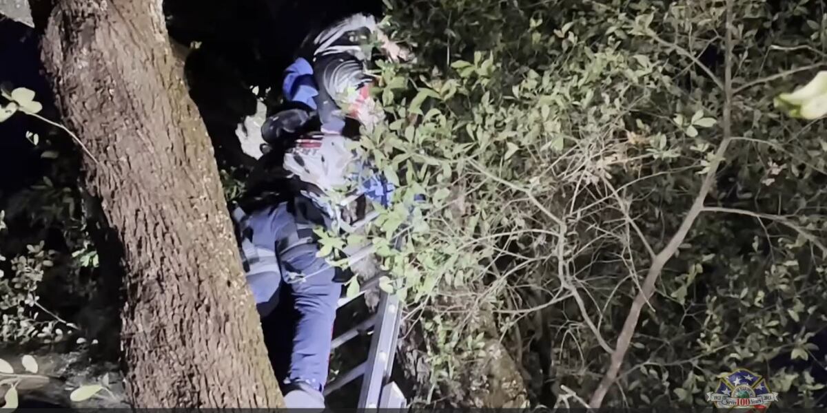 Rescue crews rescue teen that was stuck 30 feet up a tree