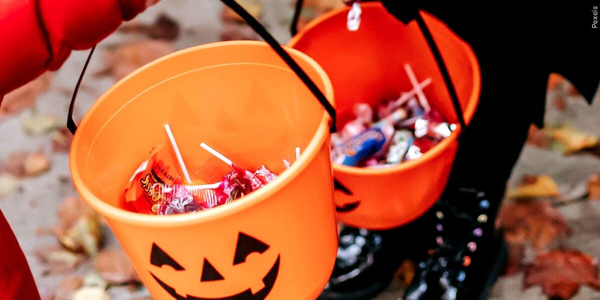North Central Florida celebrates Halloween - WCJB