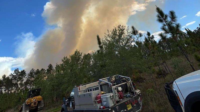 CR 325 is being shut down from CR 346 to SE 152 due to the Lochloosa West Fire in Alachua County