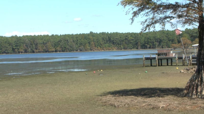 A woman died after being hit by a loose umbrella while eating at a restaurant on Lake Marion...