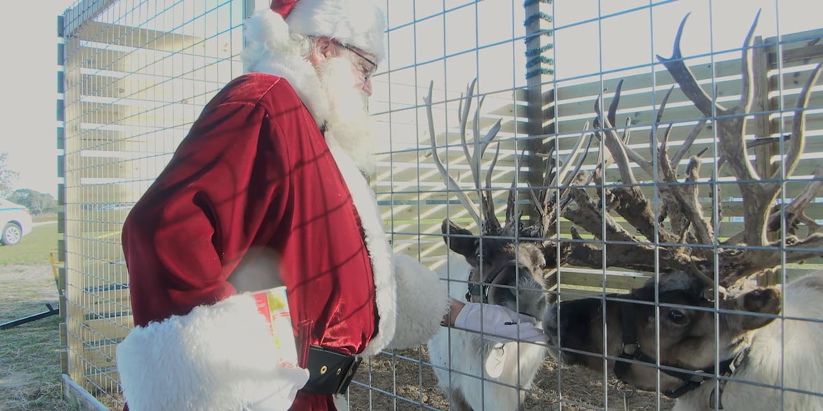 Mayhem Ranch Meet Santaβs live reindeer at Mayhem Ranchβs 3rd annual Winter Festival