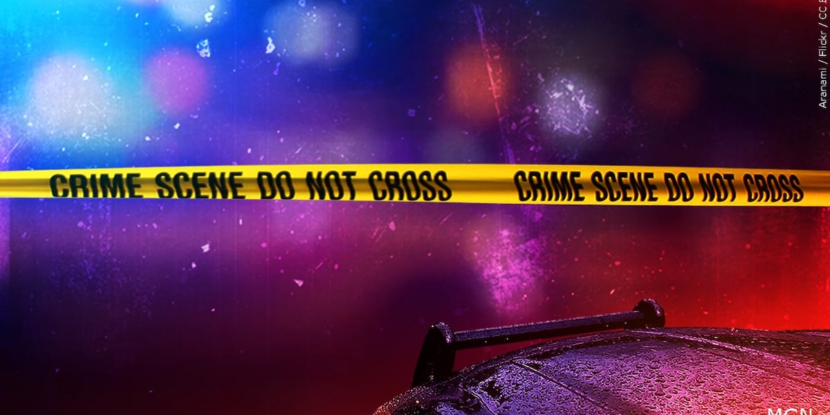 Levy County bus crashes with more than 30 students onboard; no injuries reported