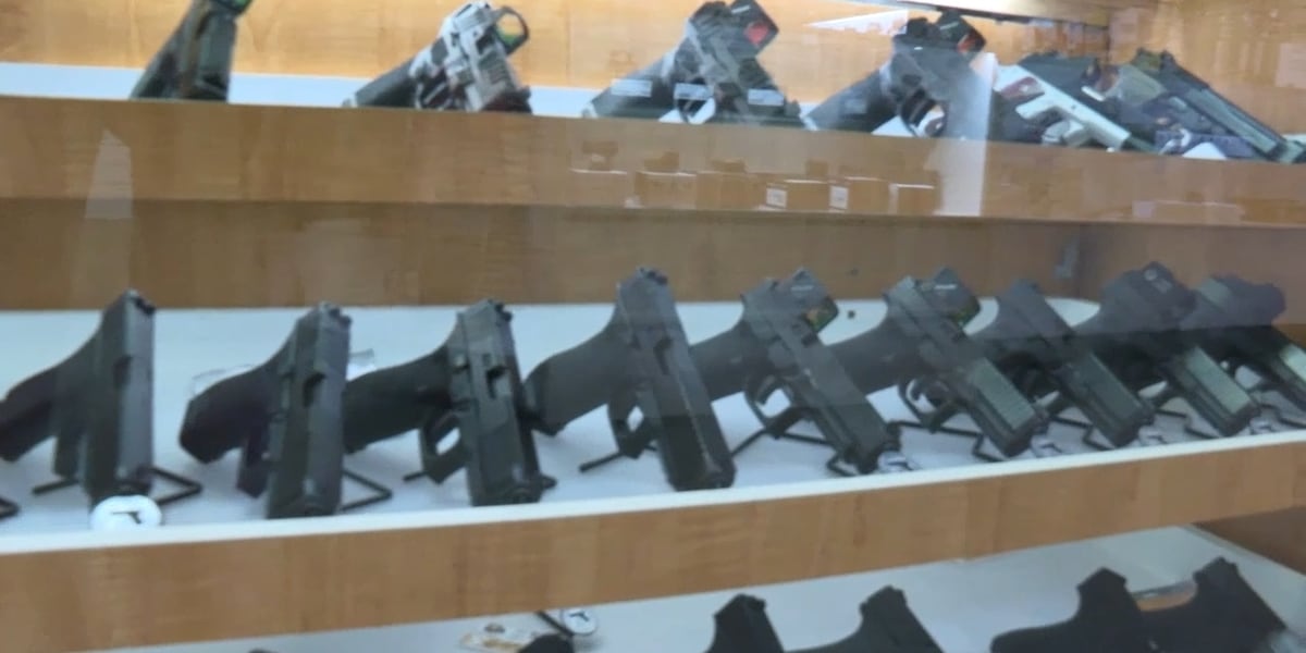 Gun rights group challenges four Alachua County firearms ordinances