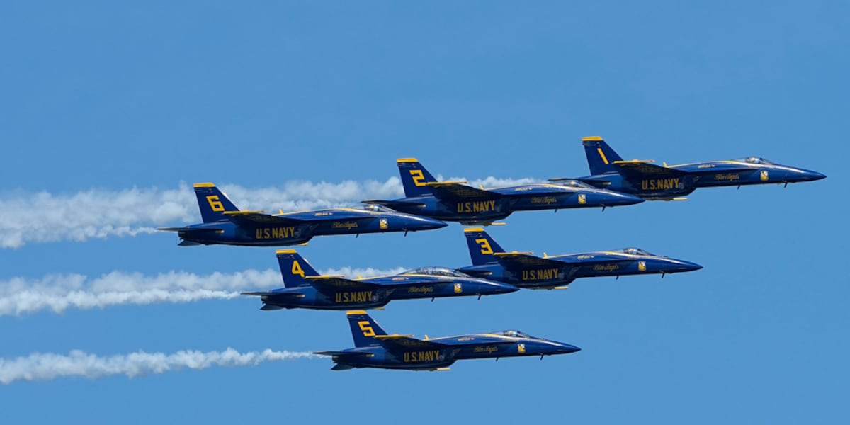 Blue Angels to headline Ocala air show next spring