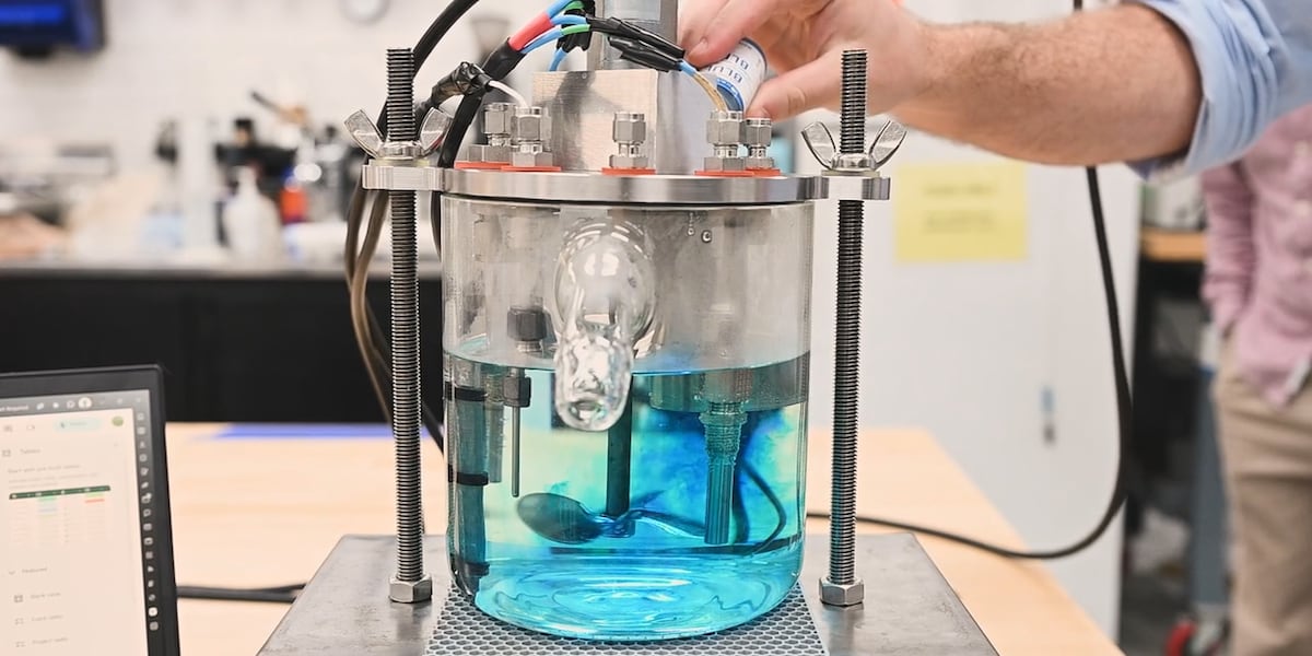 Cow Lab UF design lab advance livestock feeding research by simulating the ...