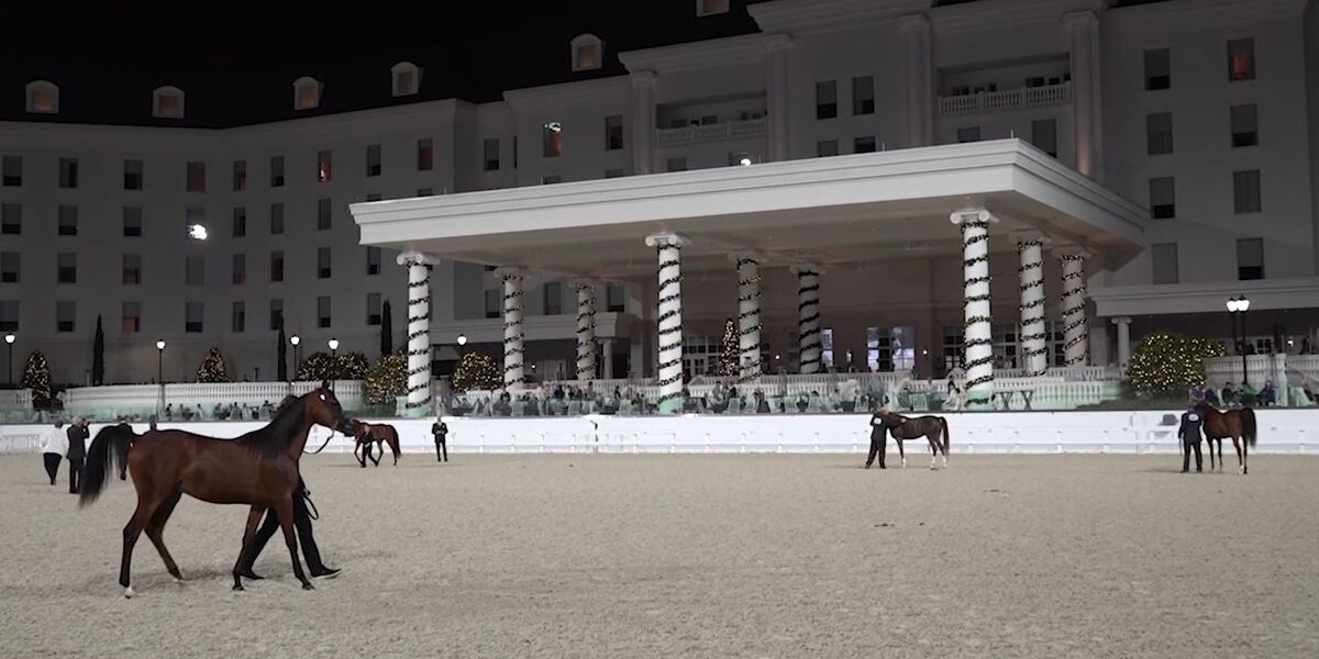 Horse Capital TV highlights the inaugural Keystone Arabian Experience