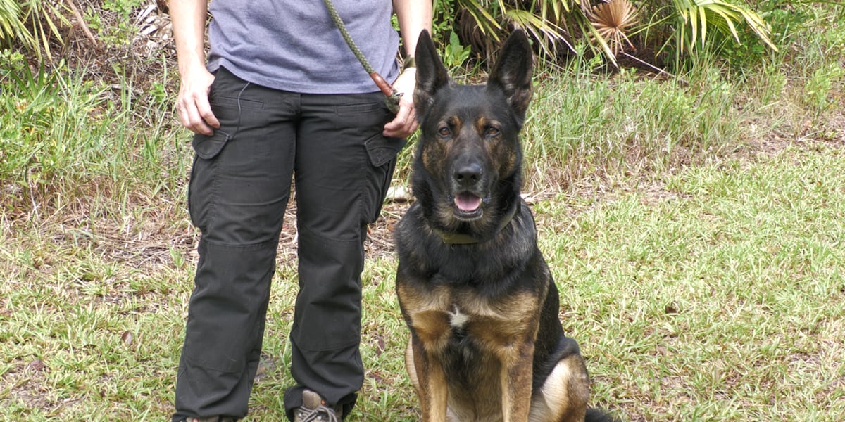 Cadaver dog helps locate human remains believed to be missing Bradford County woman
