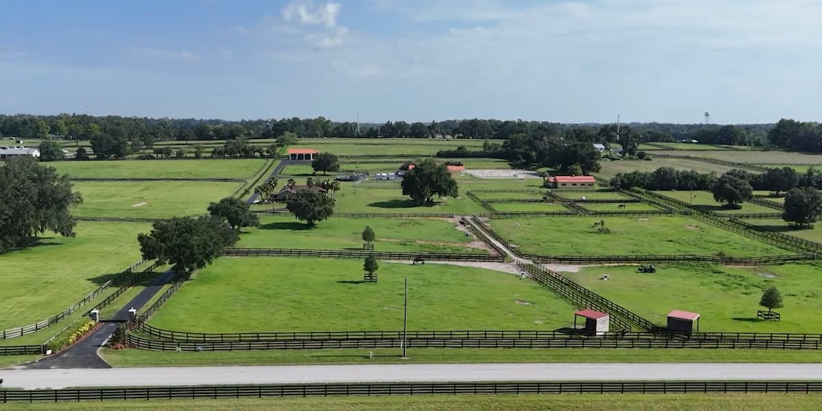 Horse Capital TV highlights Kandor Farm