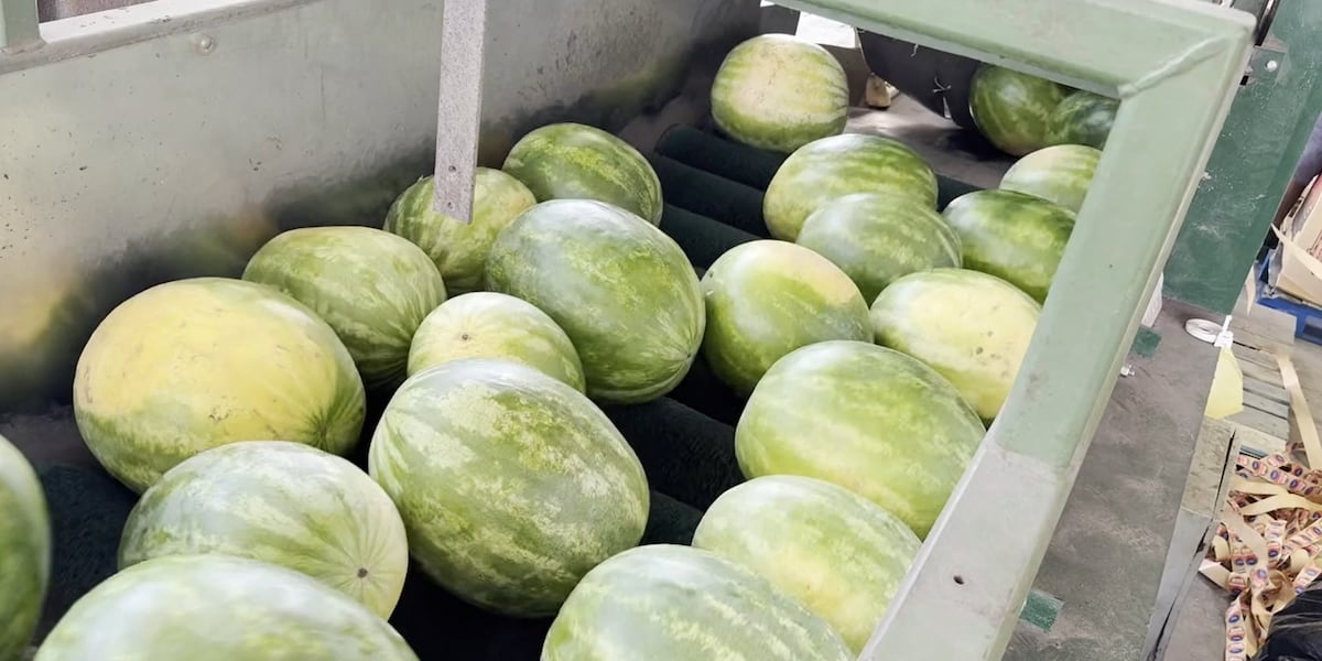 81st annual Newberry Watermelon Festival returns to city this Saturday