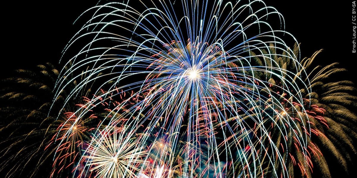 Fireworks trigger PTSD for some veterans, treatment available