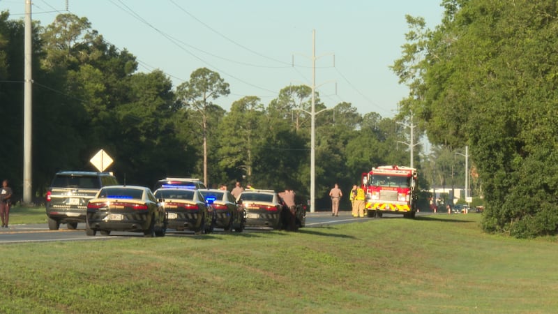 A fatal hit-and-run early this morning left the family grieving the loss of a son, twin...