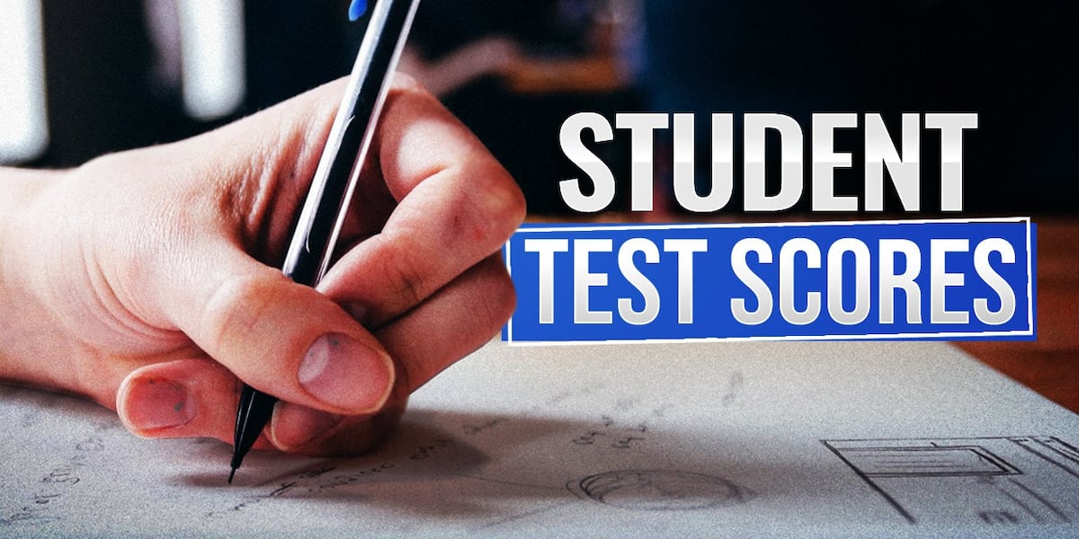 Preliminary state test results show some school districts excelling ...