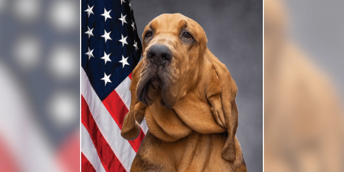 Police K-9 found dead in handler’s car