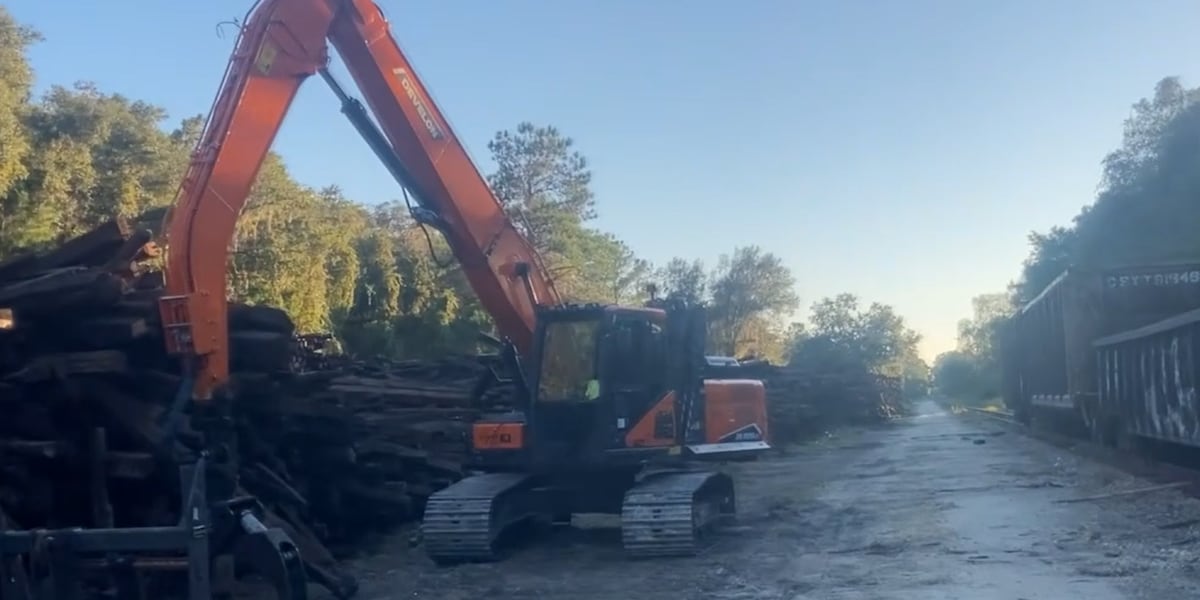 Dunnellon officials oppose permit request due to environmental concerns