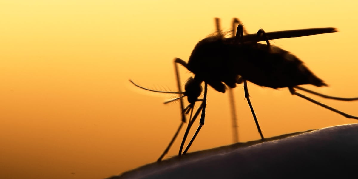 West Nile virus infection reported in Alachua County, health department confirms