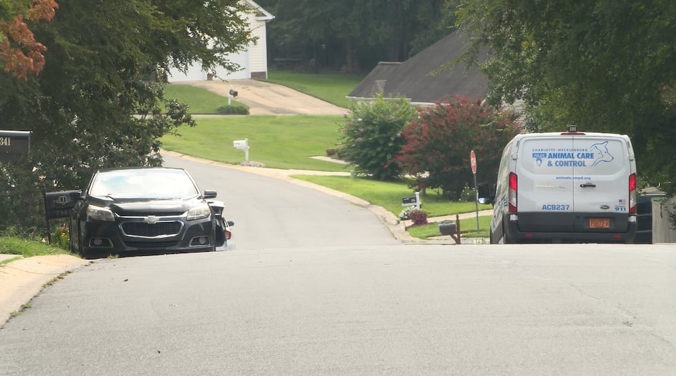 2 face dozens of charges after dog pack attacks woman and neighbors, authorities say
