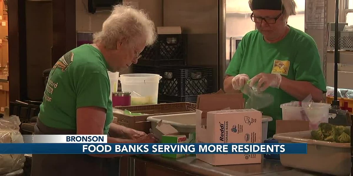 The official WCJB image from its food-bank demand story