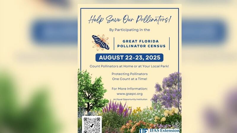 People can head out to their local park or even front yard to count different pollinators...