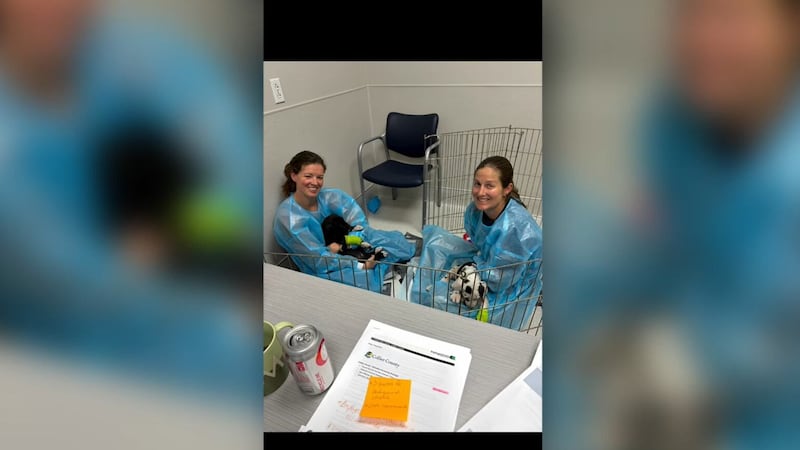 County commissioners without comment approved a contract for Meredith McLean, currently...