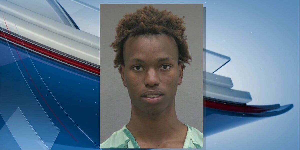 Homless Lizard Homeless man arrested after drowning ex-girlfriend’s pet lizard ...